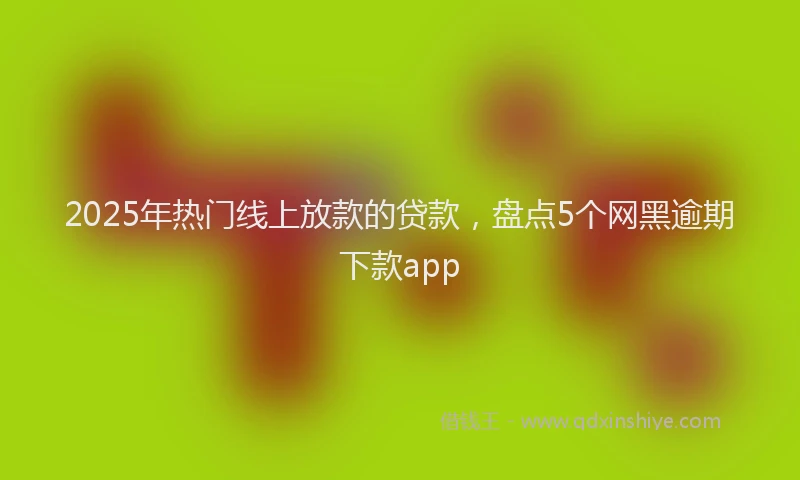 2025年热门线上放款的贷款，盘点5个网黑逾期下款app