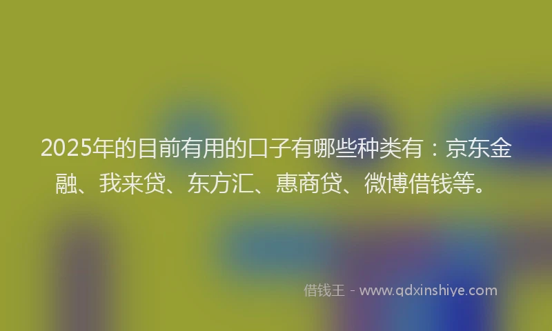 2025年的目前有用的口子有哪些种类有：京东金融、我来贷、东方汇、惠商贷、微博借钱等。