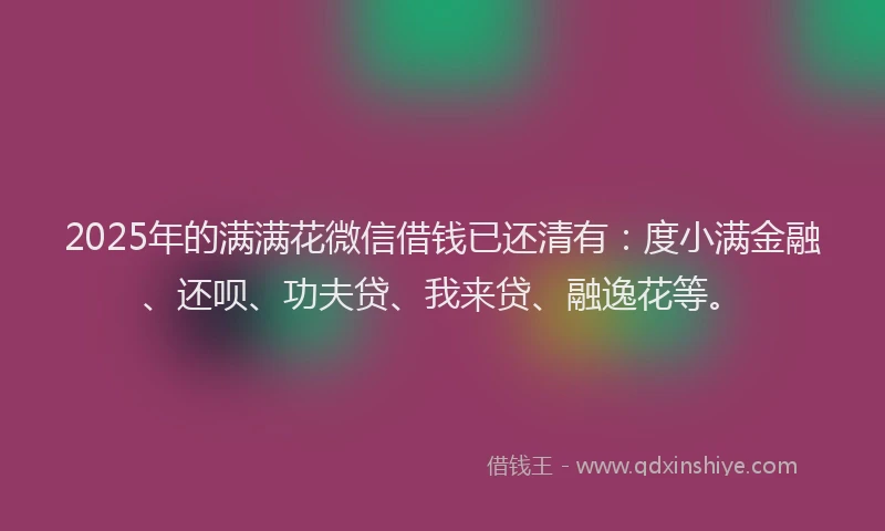 2025年的满满花微信借钱已还清有：度小满金融、还呗、功夫贷、我来贷、融逸花等。