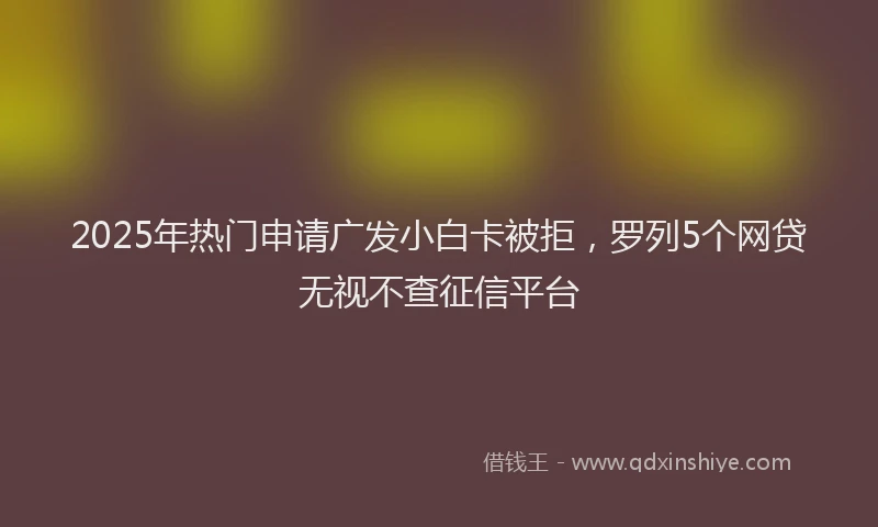 2025年热门申请广发小白卡被拒，罗列5个网贷无视不查征信平台