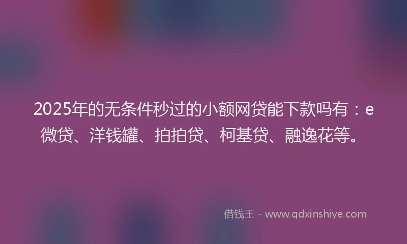 2025年的无条件秒过的小额网贷能下款吗有：e微贷、洋钱罐、拍拍贷、柯基贷、融逸花等。