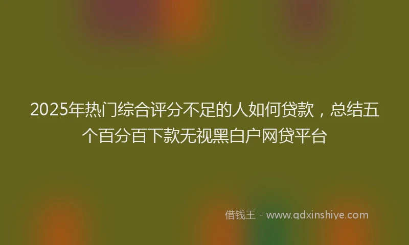 2025年热门综合评分不足的人如何贷款，总结五个百分百下款无视黑白户网贷平台