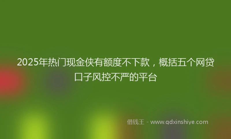 2025年热门现金侠有额度不下款，概括五个网贷口子风控不严的平台