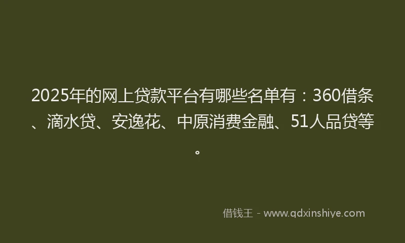 2025年的网上贷款平台有哪些名单有：360借条、滴水贷、安逸花、中原消费金融、51人品贷等。