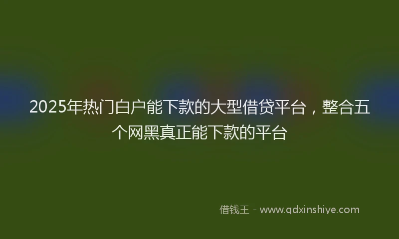 2025年热门白户能下款的大型借贷平台，整合五个网黑真正能下款的平台