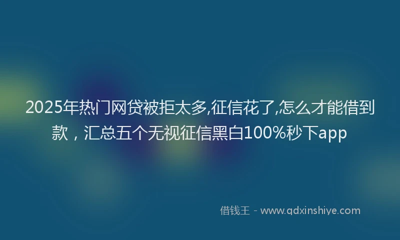 2025年热门网贷被拒太多,征信花了,怎么才能借到款，汇总五个无视征信黑白100%秒下app