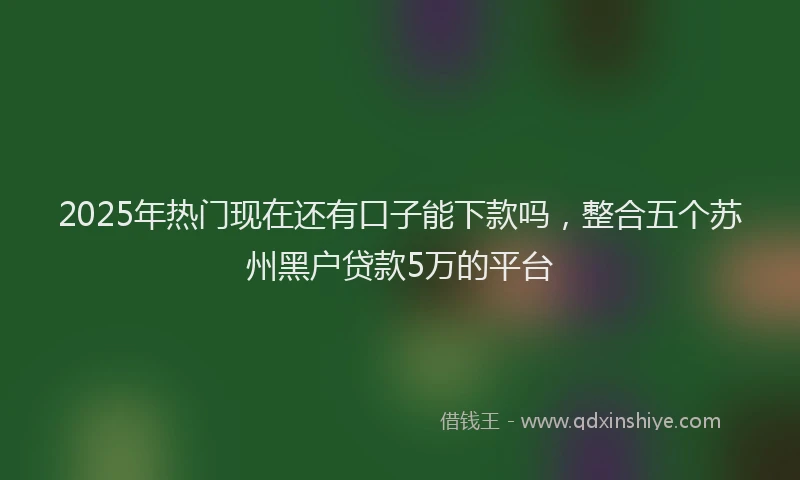 2025年热门现在还有口子能下款吗，整合五个苏州黑户贷款5万的平台