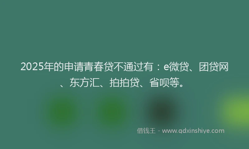 2025年的申请青春贷不通过有：e微贷、团贷网、东方汇、拍拍贷、省呗等。
