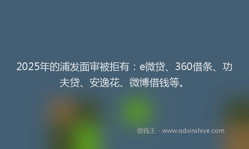 2025年的浦发面审被拒有：e微贷、360借条、功夫贷、安逸花、微博借钱等。