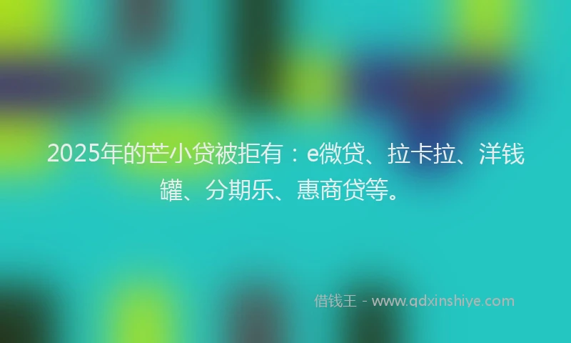 2025年的芒小贷被拒有：e微贷、拉卡拉、洋钱罐、分期乐、惠商贷等。