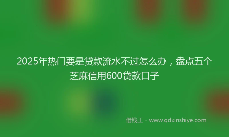2025年热门要是贷款流水不过怎么办，盘点五个芝麻信用600贷款口子