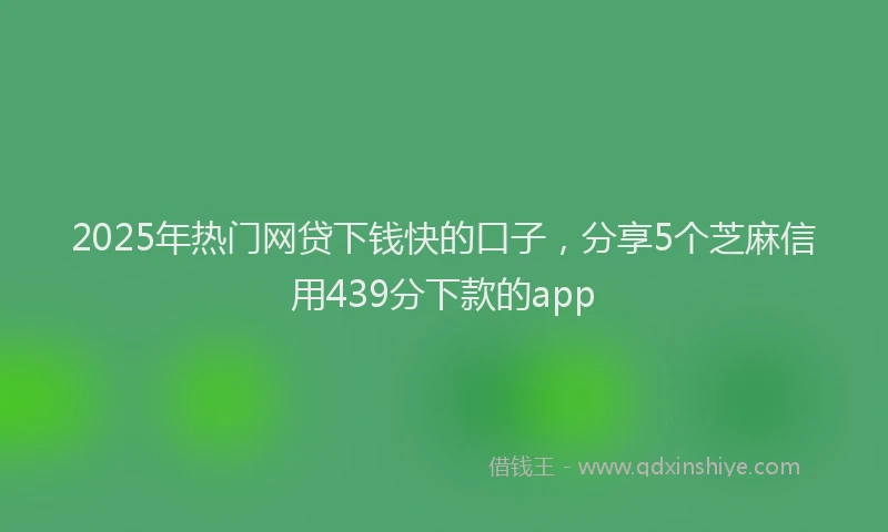 2025年热门网贷下钱快的口子，分享5个芝麻信用439分下款的app