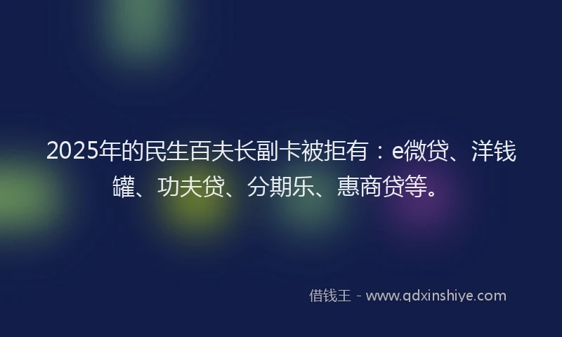 2025年的民生百夫长副卡被拒有：e微贷、洋钱罐、功夫贷、分期乐、惠商贷等。