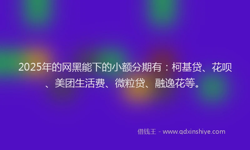 2025年的网黑能下的小额分期有：柯基贷、花呗、美团生活费、微粒贷、融逸花等。