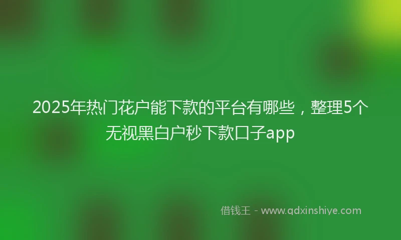 2025年热门花户能下款的平台有哪些，整理5个无视黑白户秒下款口子app
