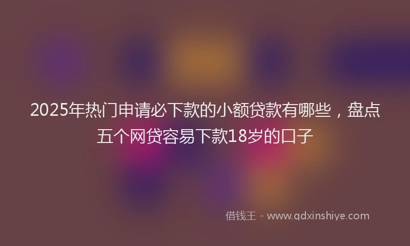 2025年热门申请必下款的小额贷款有哪些，盘点五个网贷容易下款18岁的口子