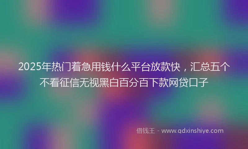 2025年热门着急用钱什么平台放款快，汇总五个不看征信无视黑白百分百下款网贷口子