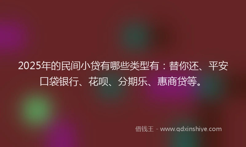 2025年的民间小贷有哪些类型有：替你还、平安口袋银行、花呗、分期乐、惠商贷等。