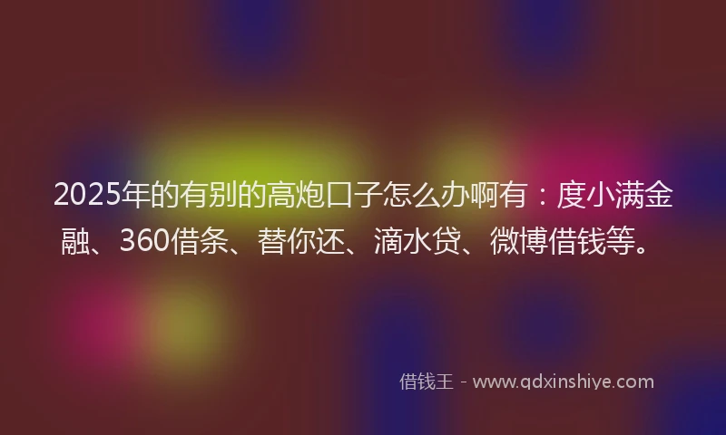 2025年的有别的高炮口子怎么办啊有：度小满金融、360借条、替你还、滴水贷、微博借钱等。