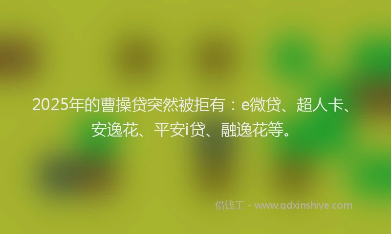 2025年的曹操贷突然被拒有：e微贷、超人卡、安逸花、平安i贷、融逸花等。