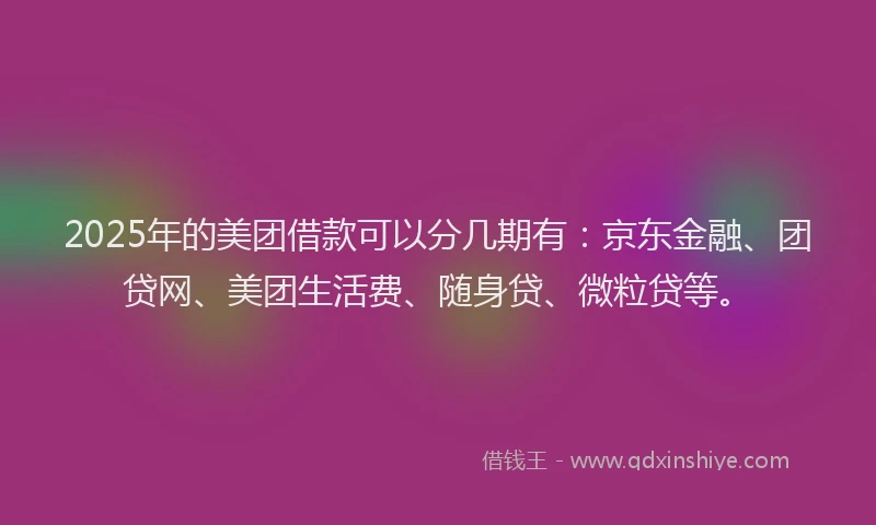 2025年的美团借款可以分几期有：京东金融、团贷网、美团生活费、随身贷、微粒贷等。