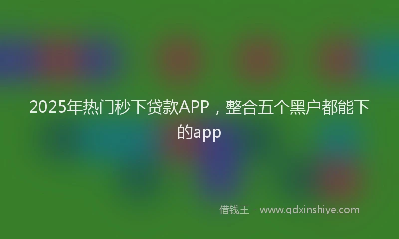2025年热门秒下贷款APP，整合五个黑户都能下的app