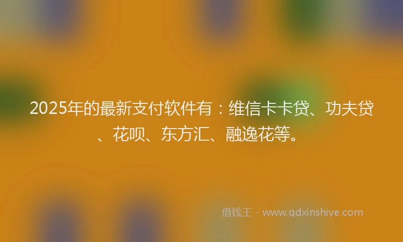 2025年的最新支付软件有：维信卡卡贷、功夫贷、花呗、东方汇、融逸花等。