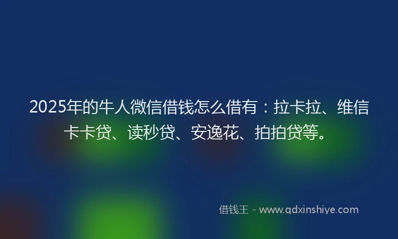 2025年的牛人微信借钱怎么借有：拉卡拉、维信卡卡贷、读秒贷、安逸花、拍拍贷等。