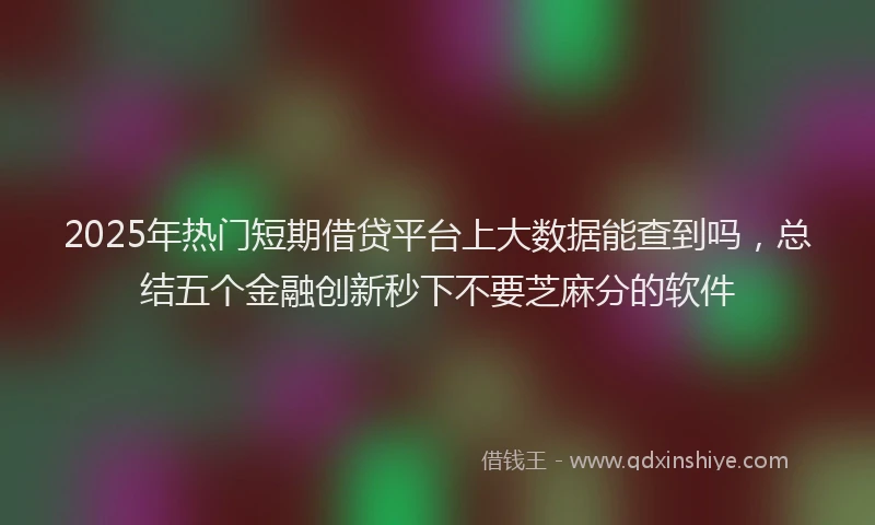 2025年热门短期借贷平台上大数据能查到吗，总结五个金融创新秒下不要芝麻分的软件