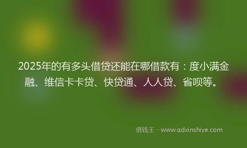 2025年的有多头借贷还能在哪借款有：度小满金融、维信卡卡贷、快贷通、人人贷、省呗等。