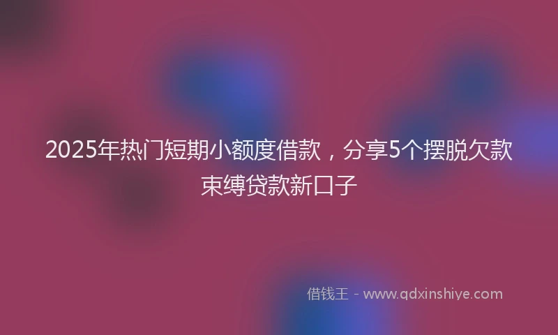 2025年热门短期小额度借款，分享5个摆脱欠款束缚贷款新口子