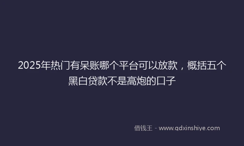 2025年热门有呆账哪个平台可以放款，概括五个黑白贷款不是高炮的口子