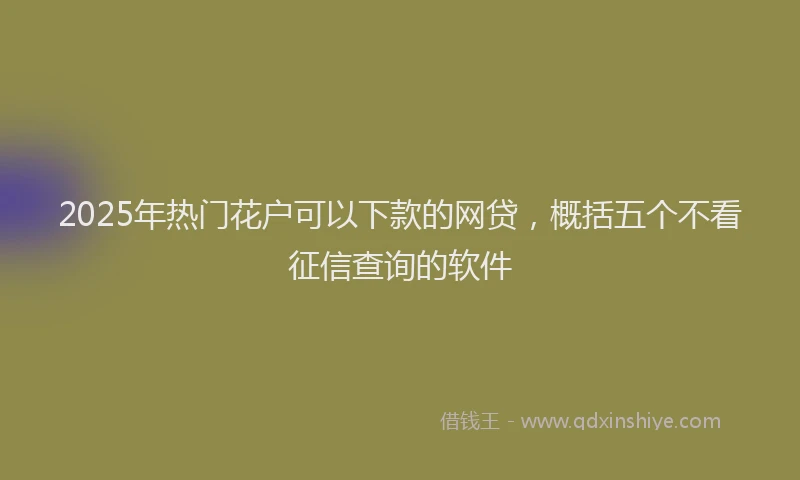 2025年热门花户可以下款的网贷，概括五个不看征信查询的软件