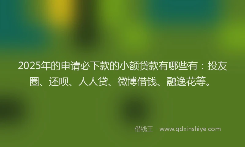 2025年的申请必下款的小额贷款有哪些有：投友圈、还呗、人人贷、微博借钱、融逸花等。