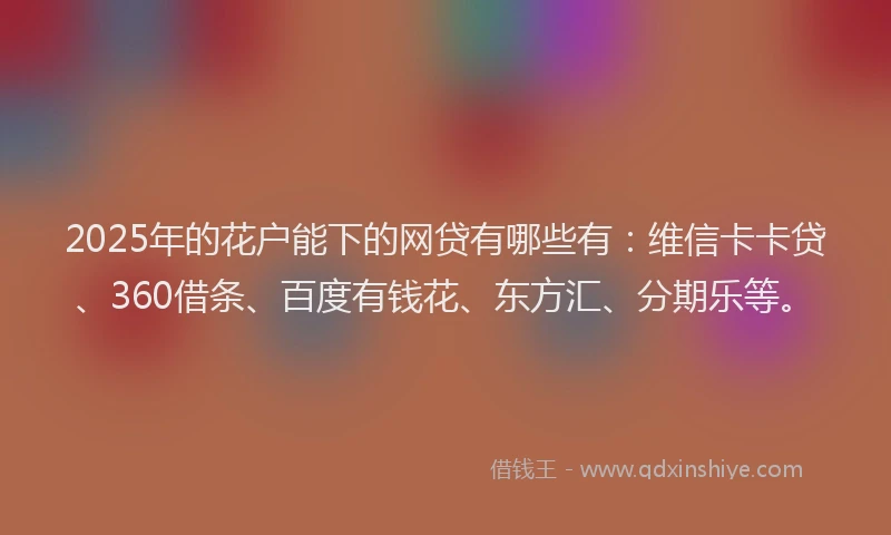 2025年的花户能下的网贷有哪些有：维信卡卡贷、360借条、百度有钱花、东方汇、分期乐等。