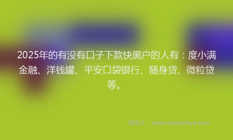 2025年的有没有口子下款快黑户的人有：度小满金融、洋钱罐、平安口袋银行、随身贷、微粒贷等。
