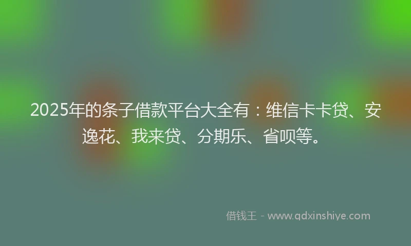 2025年的条子借款平台大全有：维信卡卡贷、安逸花、我来贷、分期乐、省呗等。