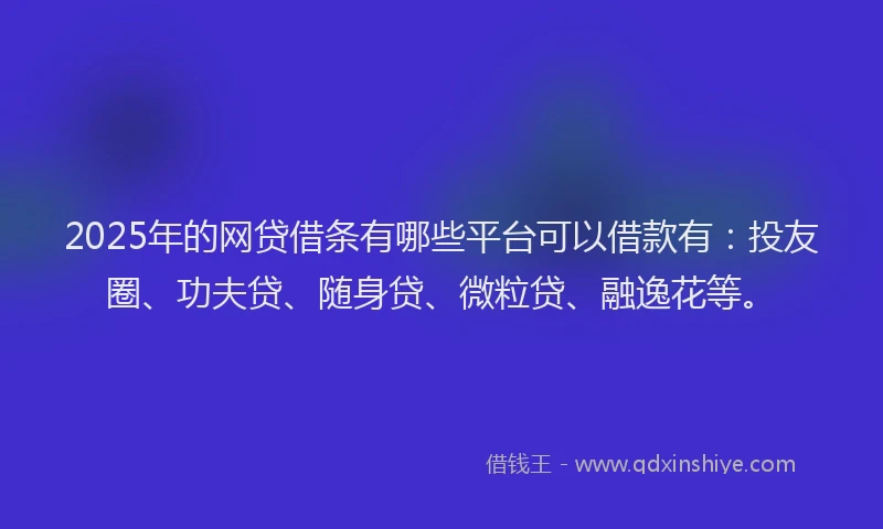 2025年的网贷借条有哪些平台可以借款有：投友圈、功夫贷、随身贷、微粒贷、融逸花等。