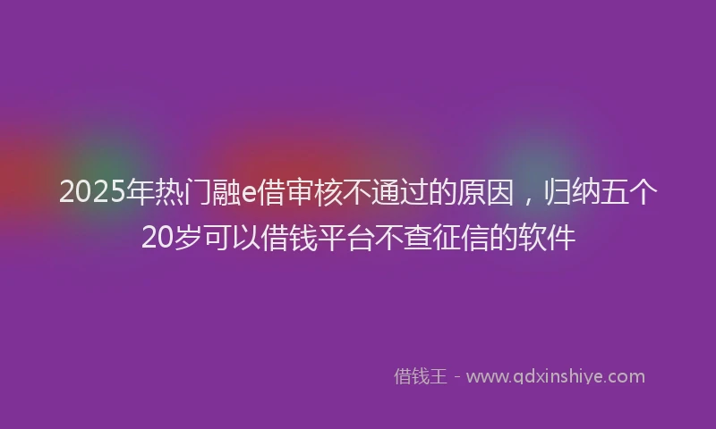 2025年热门融e借审核不通过的原因，归纳五个20岁可以借钱平台不查征信的软件
