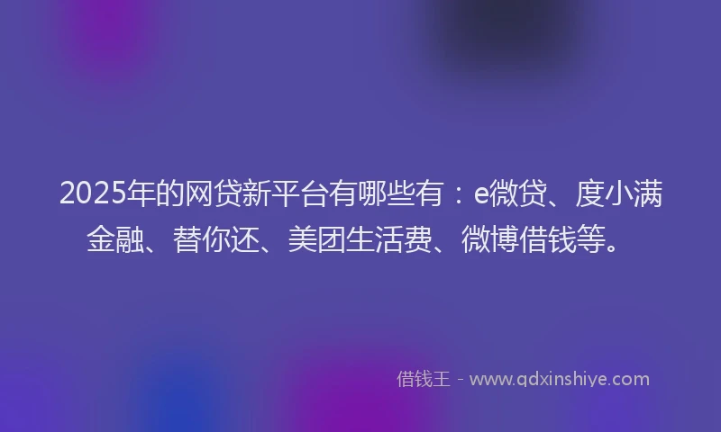 2025年的网贷新平台有哪些有：e微贷、度小满金融、替你还、美团生活费、微博借钱等。