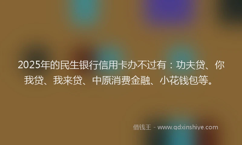 2025年的民生银行信用卡办不过有：功夫贷、你我贷、我来贷、中原消费金融、小花钱包等。