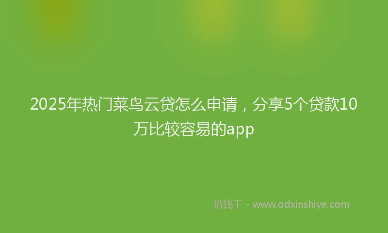 2025年热门菜鸟云贷怎么申请，分享5个贷款10万比较容易的app