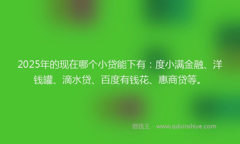 2025年的现在哪个小贷能下有：度小满金融、洋钱罐、滴水贷、百度有钱花、惠商贷等。