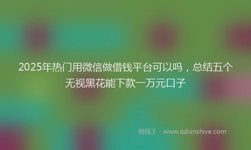 2025年热门用微信做借钱平台可以吗，总结五个无视黑花能下款一万元口子
