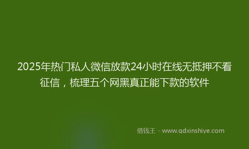 2025年热门私人微信放款24小时在线无抵押不看征信，梳理五个网黑真正能下款的软件