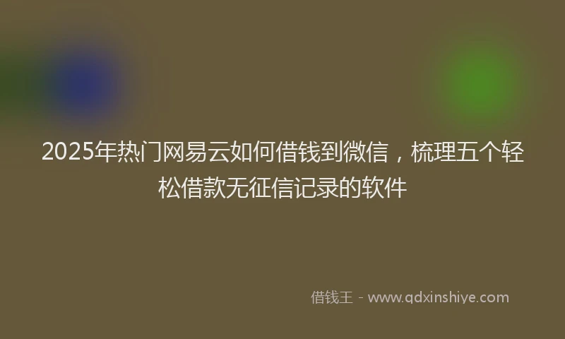 2025年热门网易云如何借钱到微信，梳理五个轻松借款无征信记录的软件