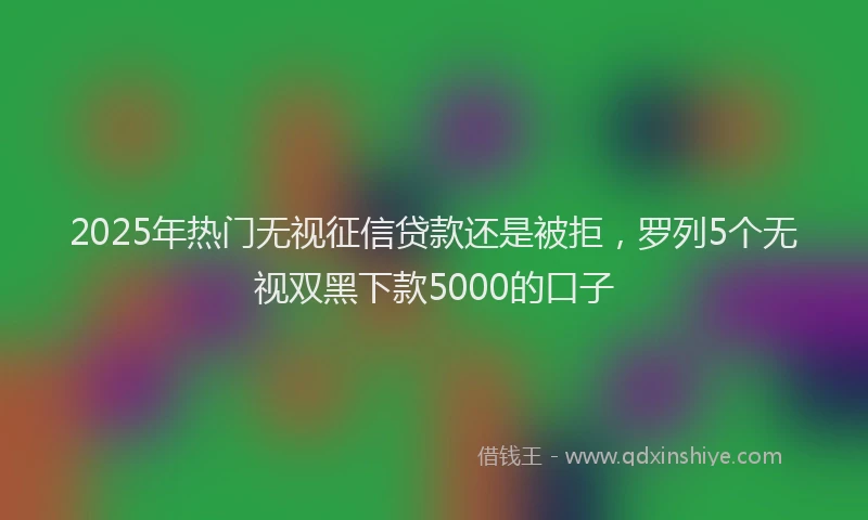 2025年热门无视征信贷款还是被拒，罗列5个无视双黑下款5000的口子