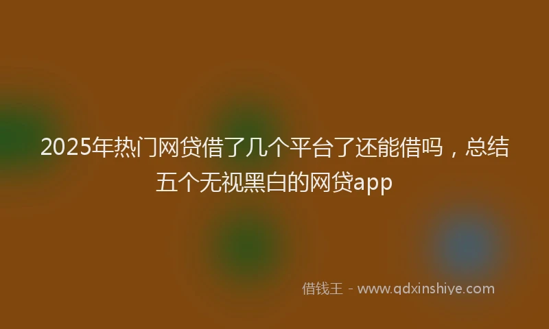2025年热门网贷借了几个平台了还能借吗，总结五个无视黑白的网贷app