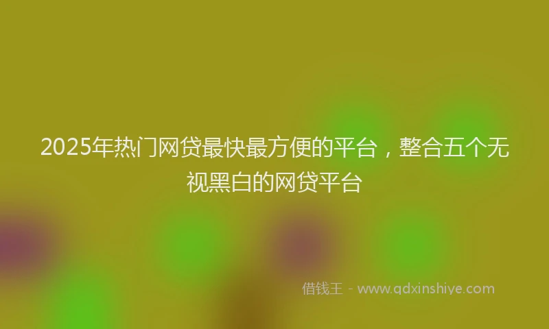 2025年热门网贷最快最方便的平台，整合五个无视黑白的网贷平台