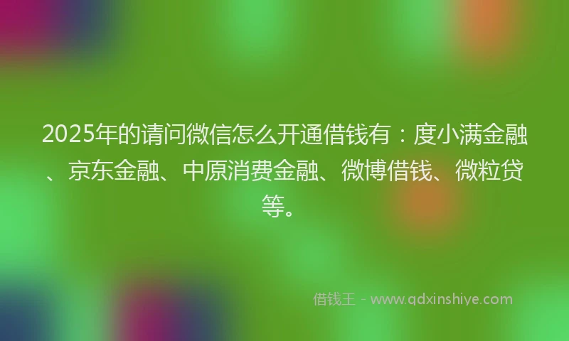 2025年的请问微信怎么开通借钱有：度小满金融、京东金融、中原消费金融、微博借钱、微粒贷等。
